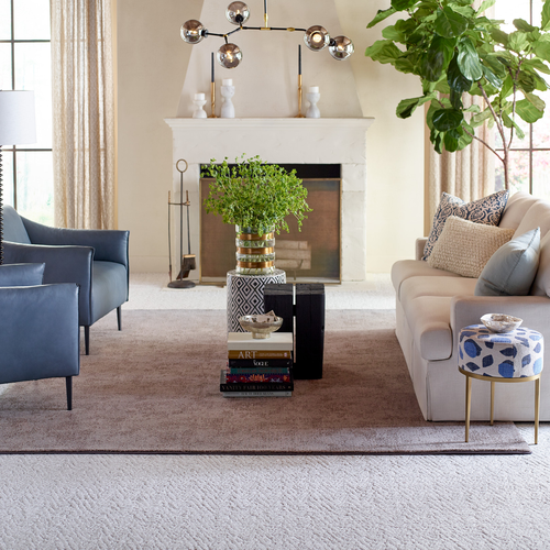 Area-Rug-Inspiration-Gallery-Images-6