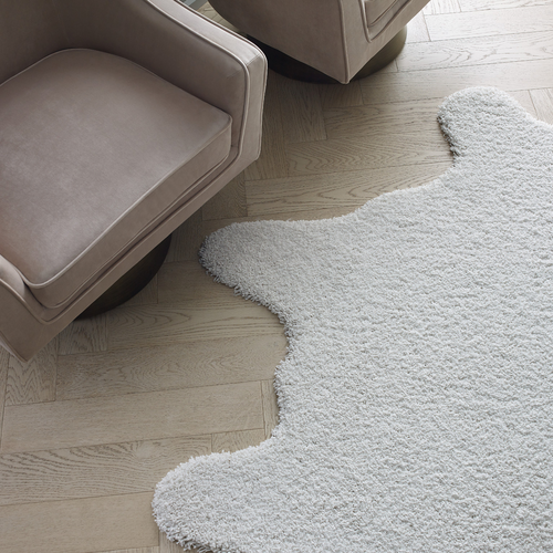 Area-Rug-Inspiration-Gallery-Images-3